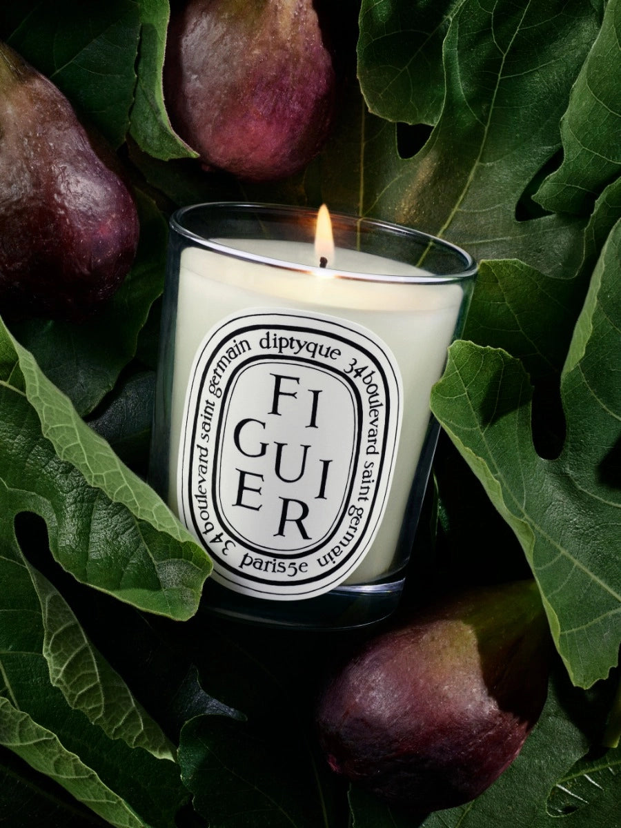 Figuier (Fig Tree) Classic Candle 190G