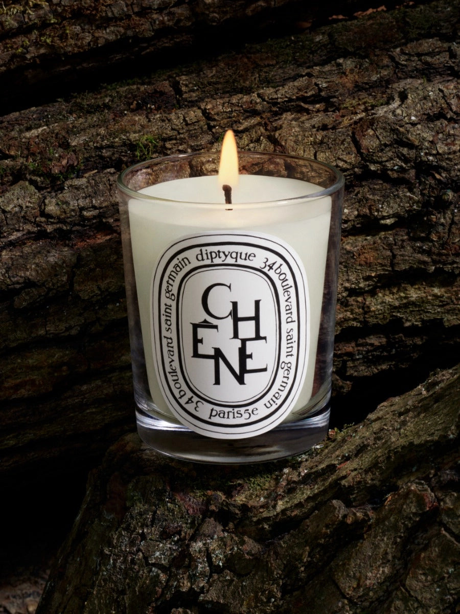 Chêne (Oak Tree) Classic Candle 190G