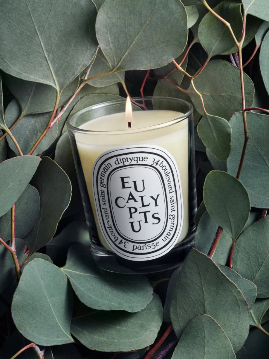 Eucalyptus Classic Candle 190G